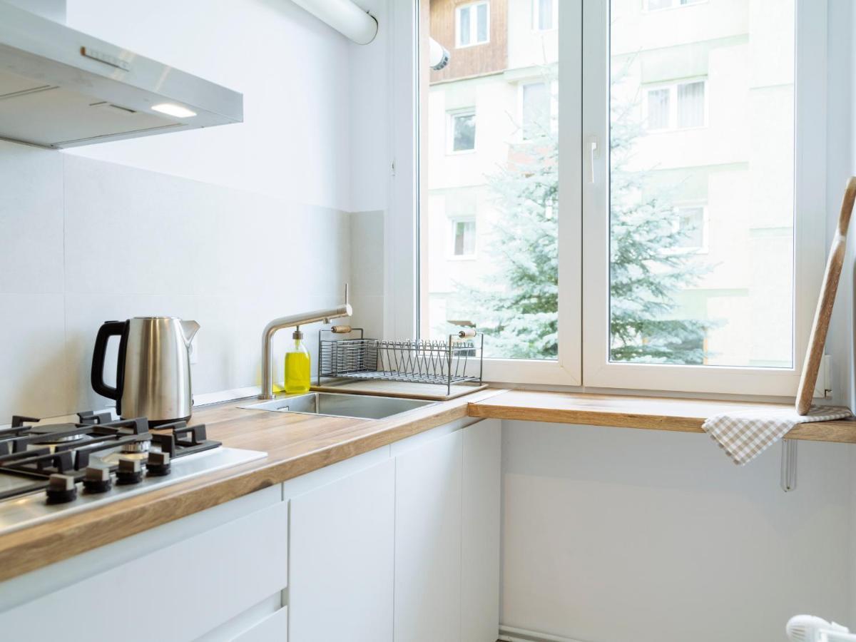 Cozy Central Apartment Near The Forest Braşov Exteriör bild