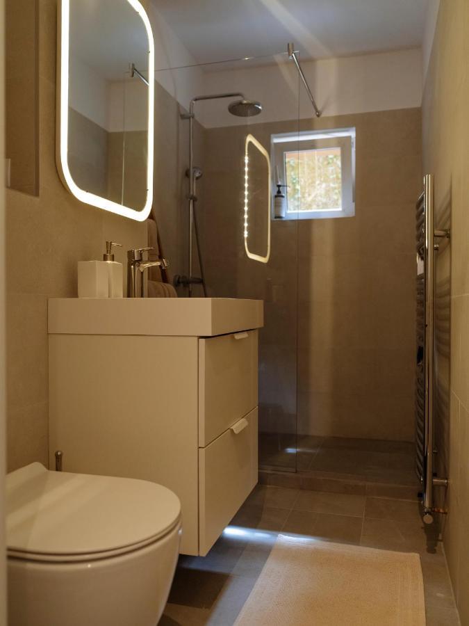 Cozy Central Apartment Near The Forest Braşov Exteriör bild
