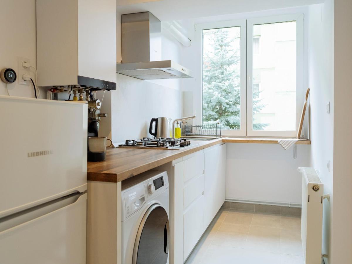 Cozy Central Apartment Near The Forest Braşov Exteriör bild