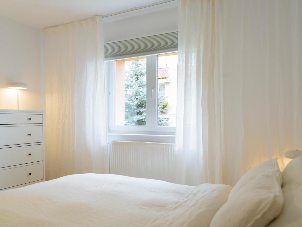Cozy Central Apartment Near The Forest Braşov Exteriör bild
