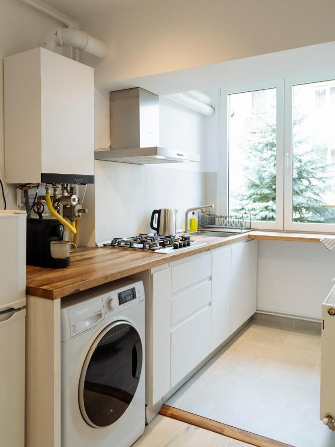 Cozy Central Apartment Near The Forest Braşov Exteriör bild