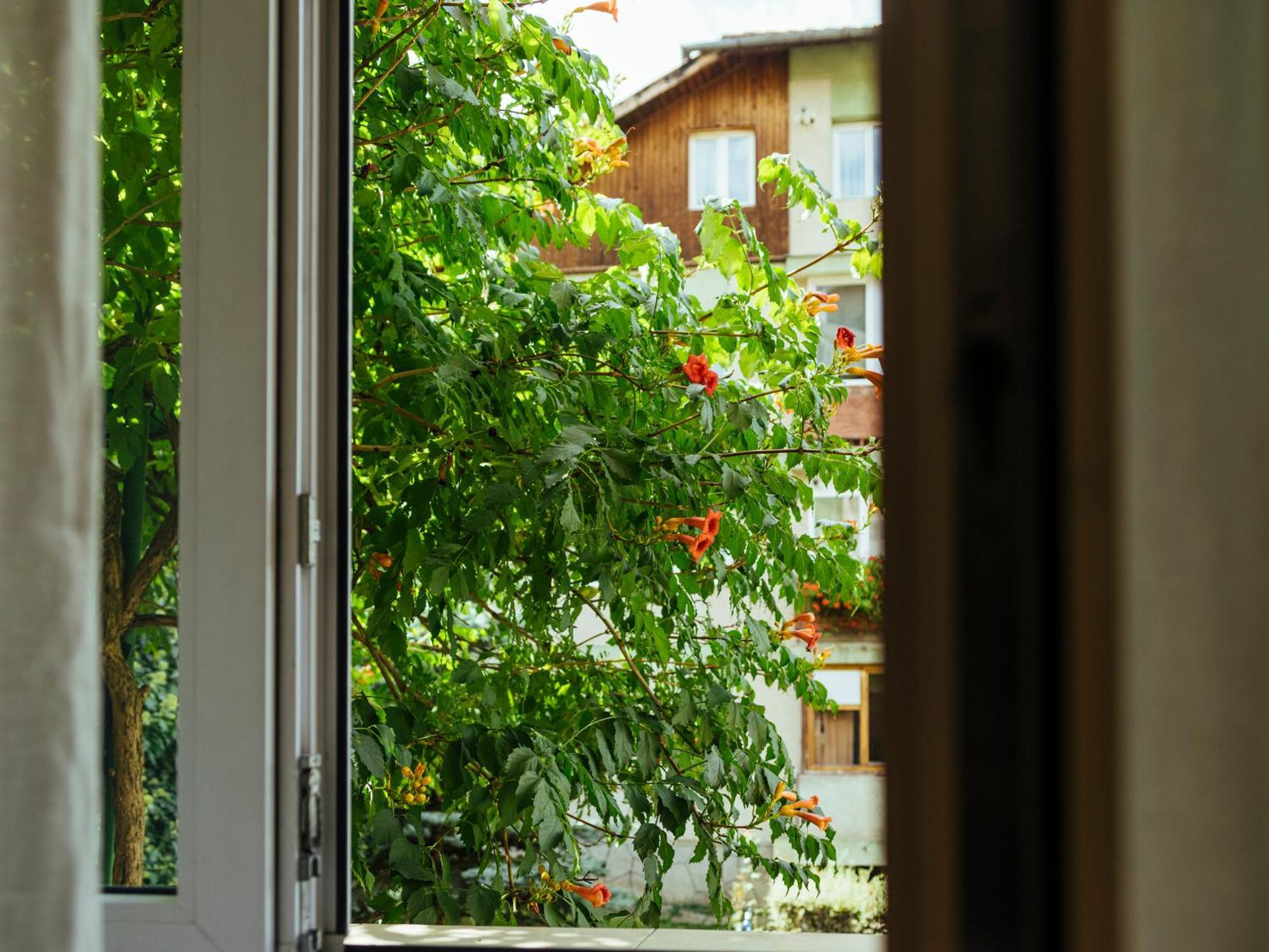 Cozy Central Apartment Near The Forest Braşov Exteriör bild