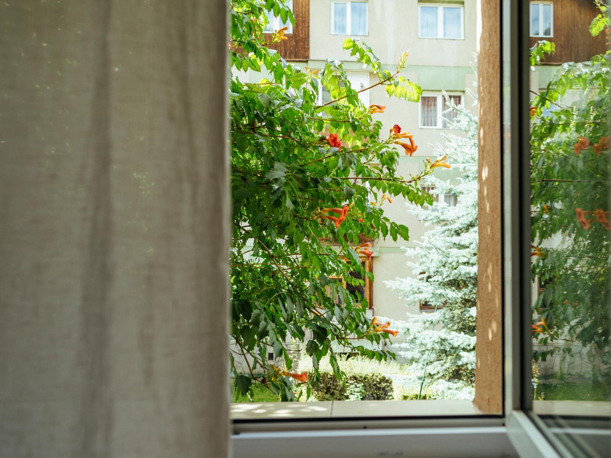 Cozy Central Apartment Near The Forest Braşov Exteriör bild