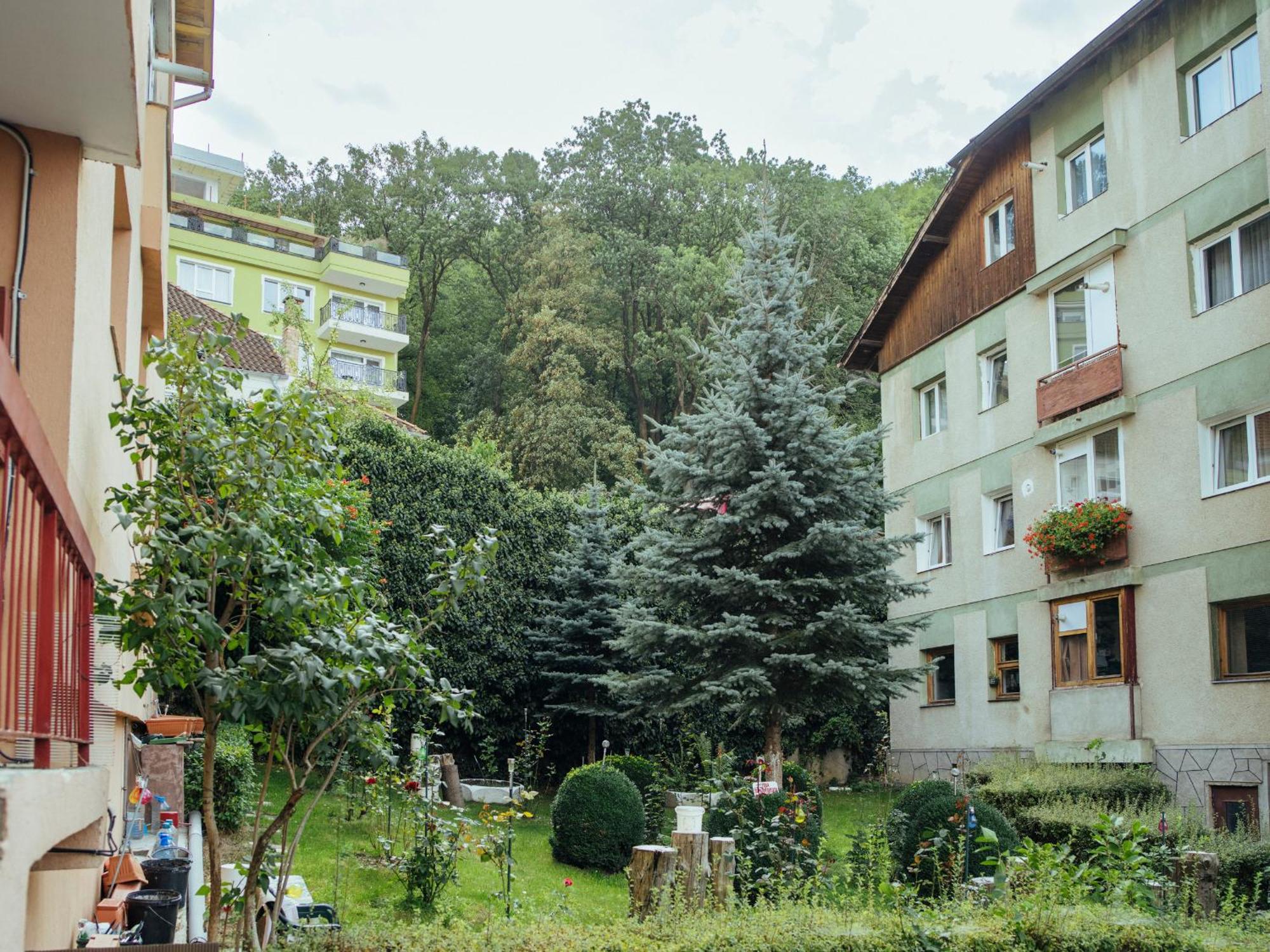 Cozy Central Apartment Near The Forest Braşov Exteriör bild
